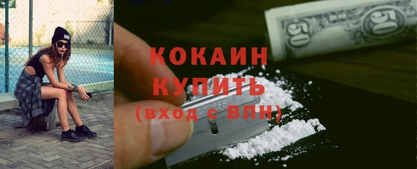 ПСИЛОЦИБИНОВЫЕ ГРИБЫ Горняк