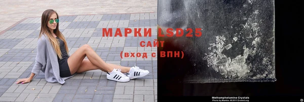 ПСИЛОЦИБИНОВЫЕ ГРИБЫ Горняк