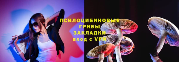 ПСИЛОЦИБИНОВЫЕ ГРИБЫ Горняк