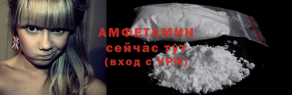 ПСИЛОЦИБИНОВЫЕ ГРИБЫ Горняк