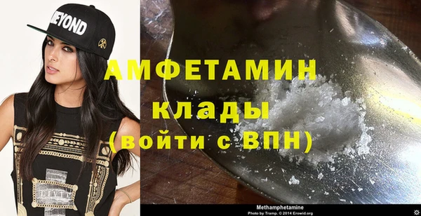 ПСИЛОЦИБИНОВЫЕ ГРИБЫ Горняк
