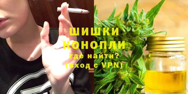 ПСИЛОЦИБИНОВЫЕ ГРИБЫ Горняк