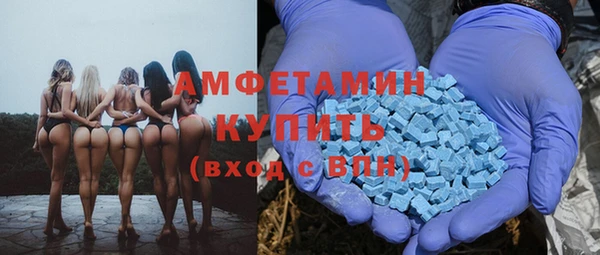 ПСИЛОЦИБИНОВЫЕ ГРИБЫ Горняк